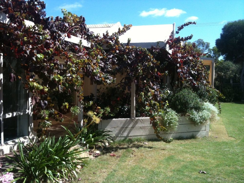 Bed & Breakfast Bellevue Mclaren Vale