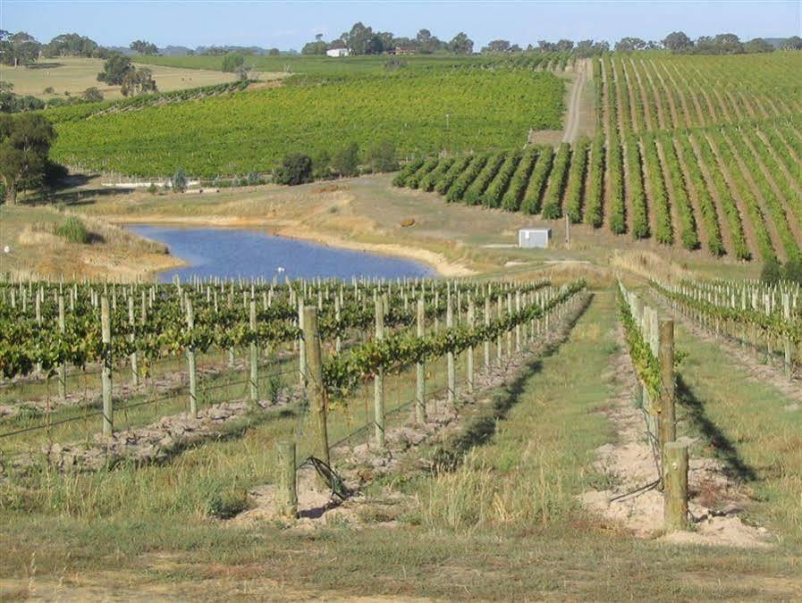 Bellevue Bed & Breakfast Mclaren Vale